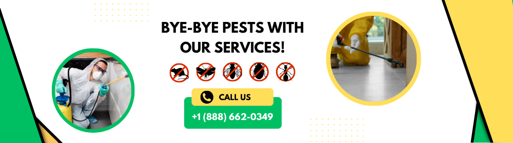 home team pest control