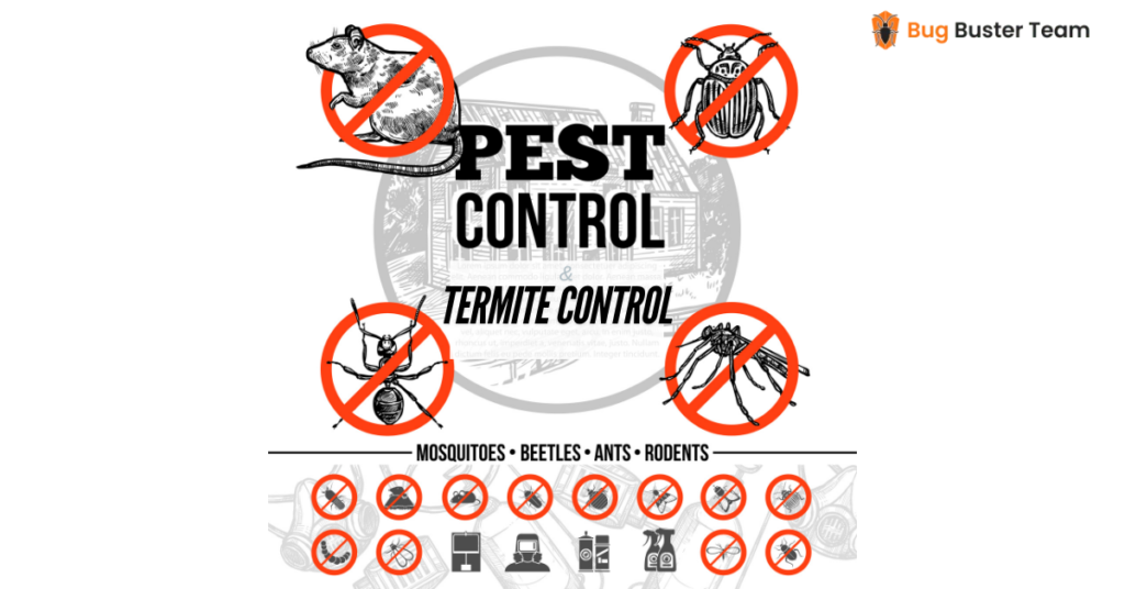 Termite and Pest Control